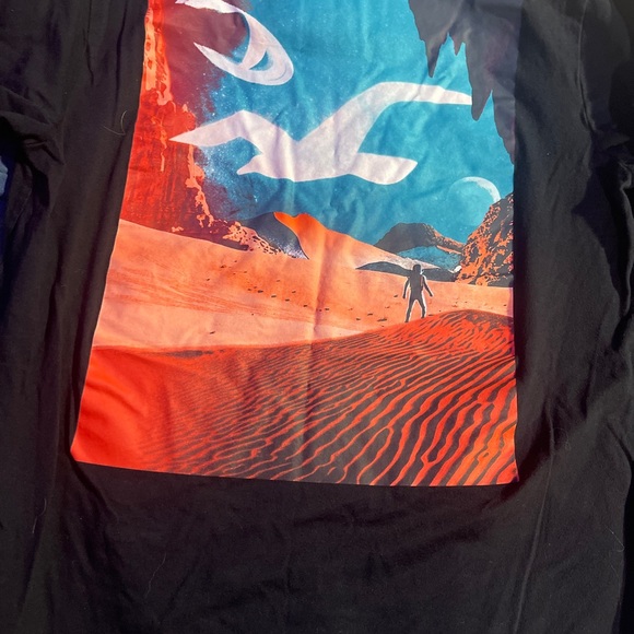 mens bundle shirt bundle! great value! hollister, american eagle, champion - Picture 15 of 15